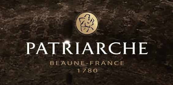 Maison Patriarche - Beaune (21)