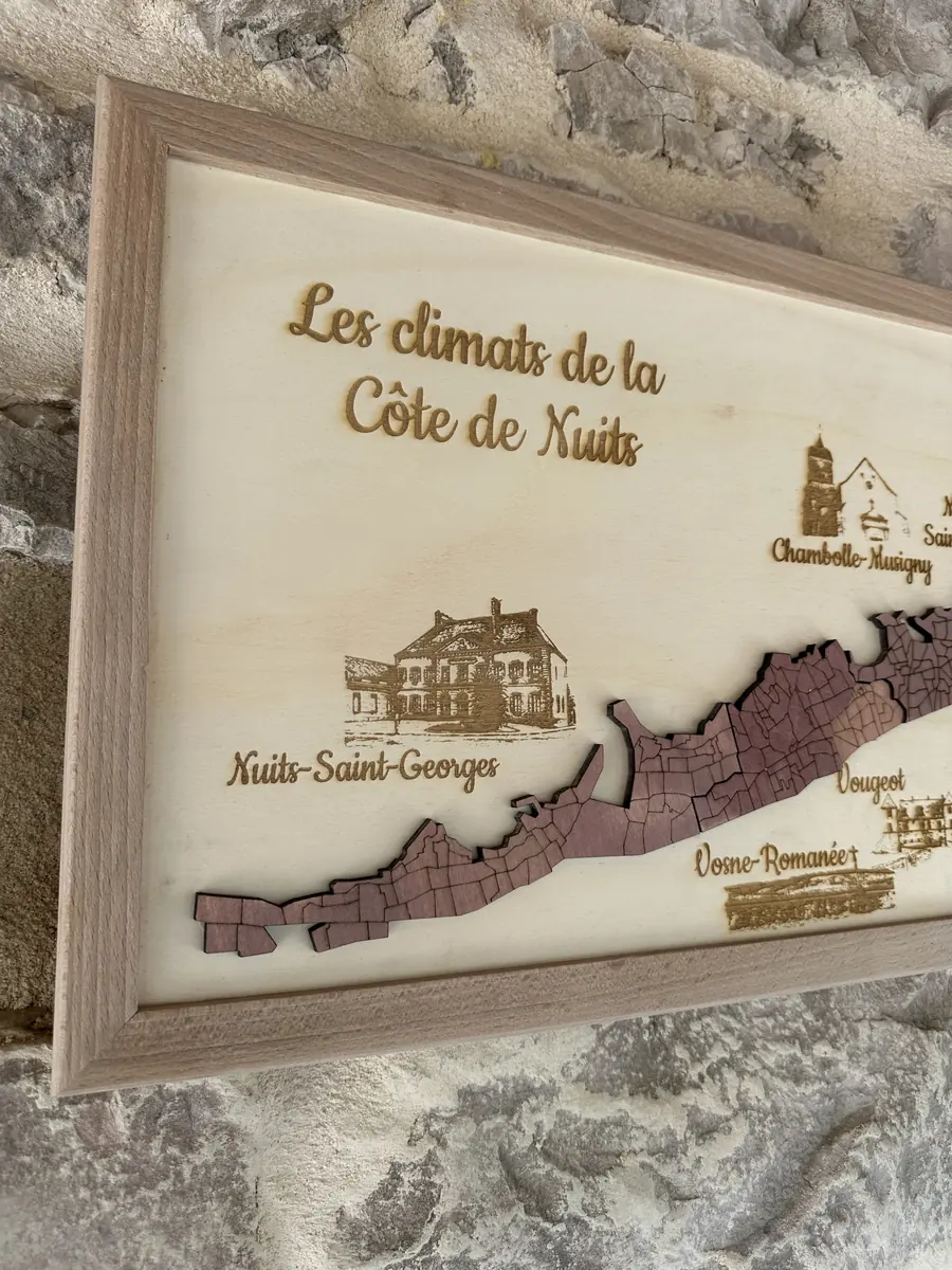 Tableau décoratif 3D en bois des appellations de la Côte de Nuits