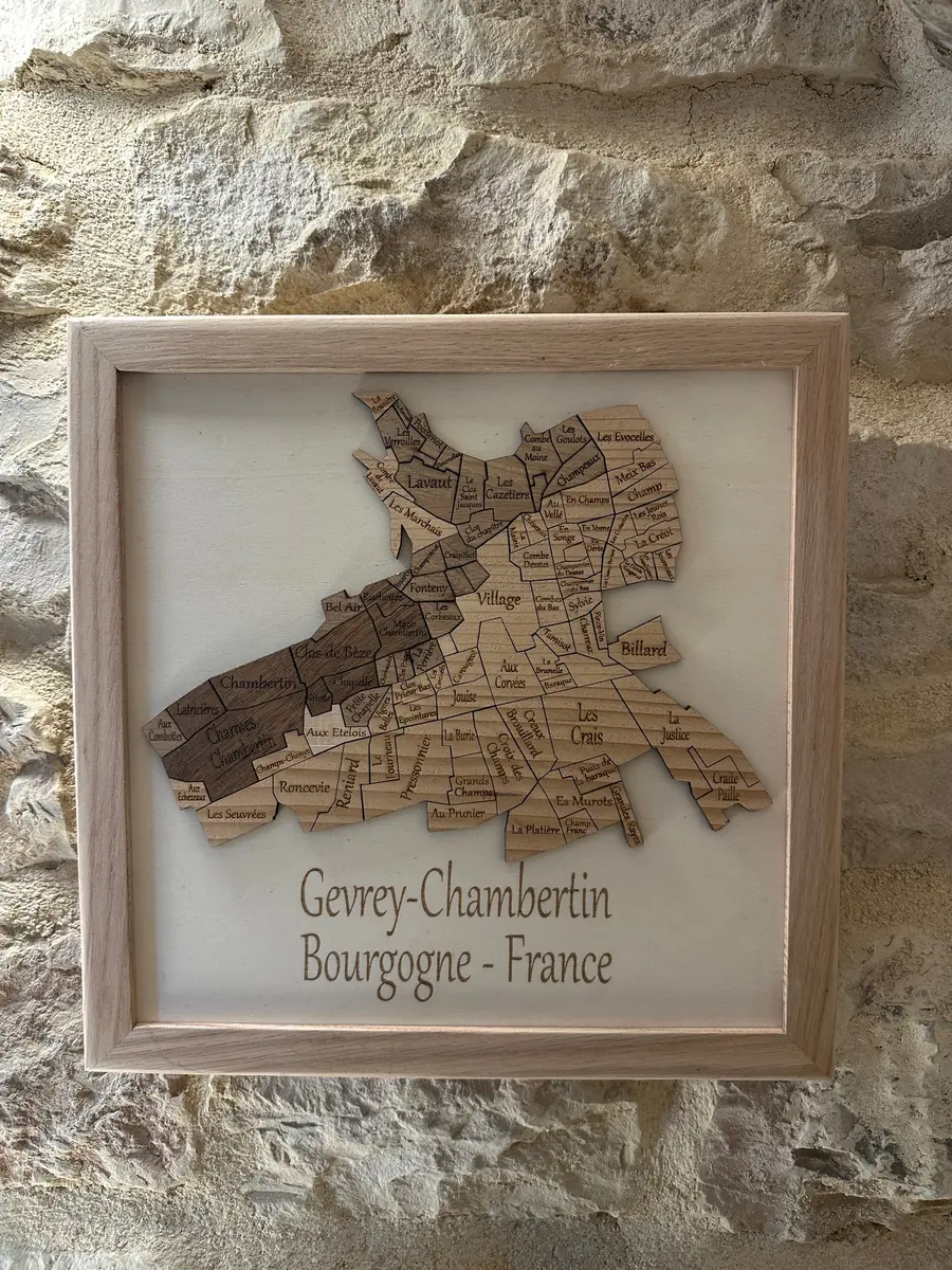 Tableau décoratif 3D en bois du village de Gevrey Chambertin