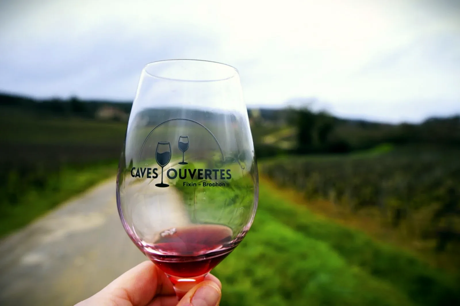 Verre de vin rouge tenu devant les vignes de Fixin et Brochon en automne