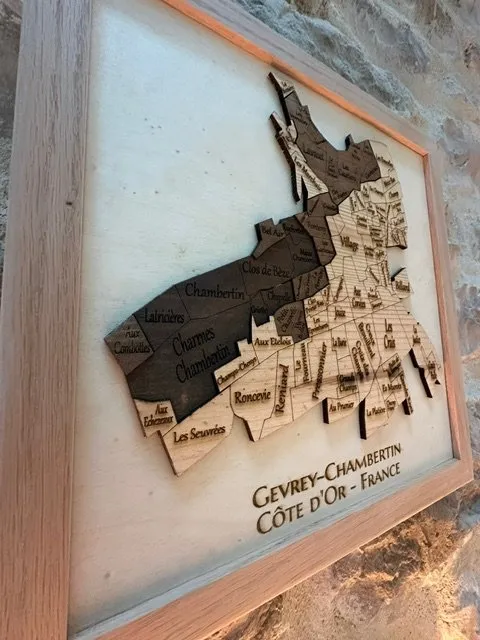Tableau 3D Village viticole Gevrey